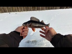 Отличная весенняя рыбалка