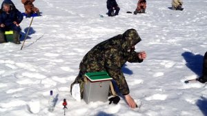 Рыбалка в Усть-Шалашной