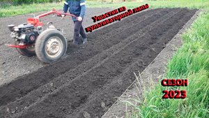 Посадка картофеля самодельным ушастым окучником из культиваторной лапы. Сезон 2023