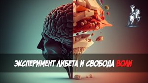 Эксперимент Либета мозг принимает решение раньше сознания. Существует ли свобода воли