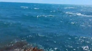 Секретный пляж Алушты. Алуштинцы обожают этот пляж и не рассказывают о нем отдыхающим.