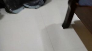 Таракан, таракан, тараканище!!! Thai style. Летающие тараканы.