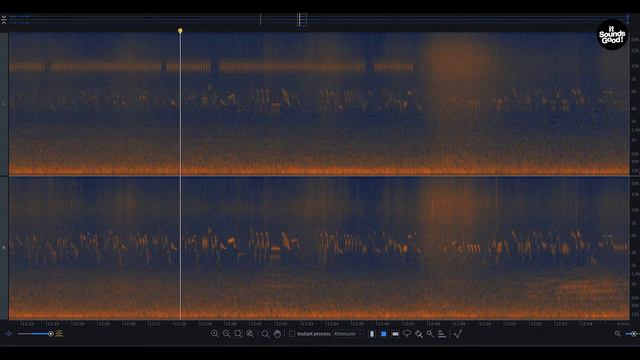Sony PCM-D100 / Wheat field recording смотреть онлайн