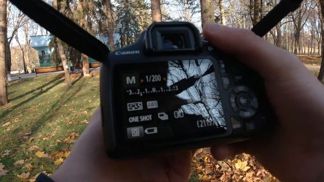 Осеннее утро в Минске | Летаю на коптере | Охота за белками | POV смотреть онлайн