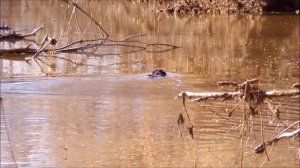 уплыл и не попрощался