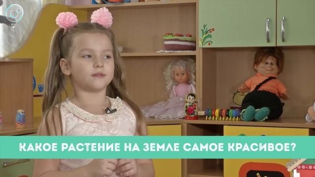 Рубрика 