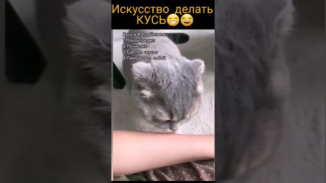 Искусство делать КУСЬ😁 смотреть онлайн
