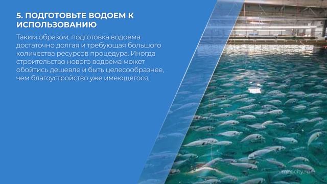 Курс обучения 