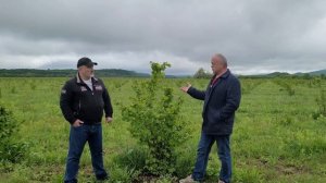 САД ФУНДУКА. Советы агронома.