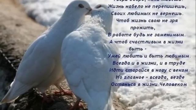 Добрый вечер! смотреть онлайн