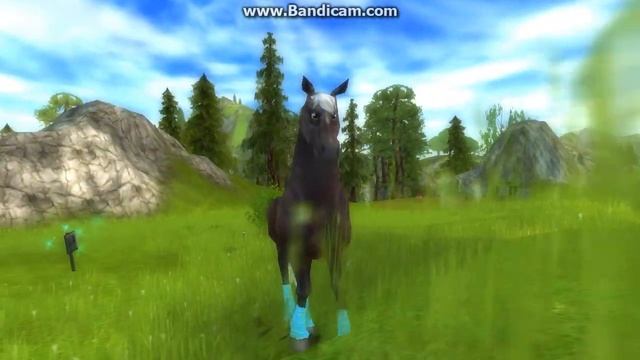 Мая лошадь Дикая! смотреть онлайн