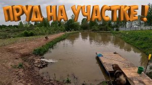 ПРУД НА УЧАСТКЕ ! НАЧАЛО !