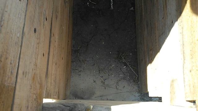 На даче! 4-я серия.(заливка фундамента под перегородку) смотреть онлайн