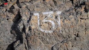 Гора Воробей