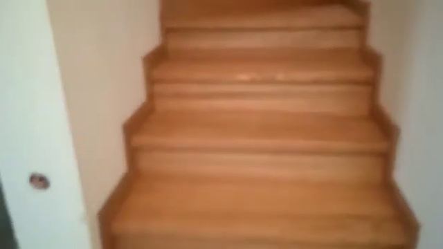 Лестница, ступени из ясеня. смотреть онлайн