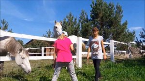 Едем на ранчо, Первый Урок Верховой Езды, видео с лошадьми для детей, влог лошади