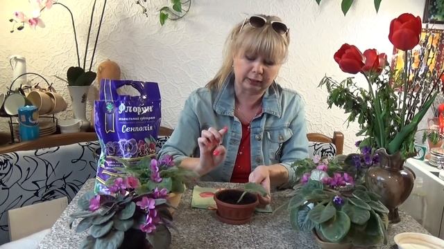 ФИАЛКИ И АЗАЛИЯ, УХОД И ПОСАДКА | Irina Belaja смотреть онлайн