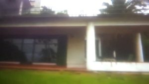 Саша прико взрослые