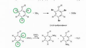 Химия. Фенолы. Свойства, состав и значение фенолов. Profi-Teacher.ru