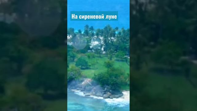 "На сиреневой Луне" Этот кавер я написала для #каверниагутина2 и смонтировала второй в своей клип смотреть онлайн