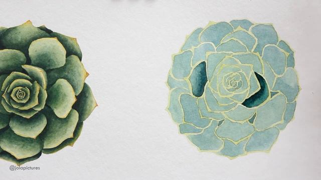 Painting succulents in watercolour | botanical illustration workshop | Hahnemühle Agave paper demo смотреть онлайн