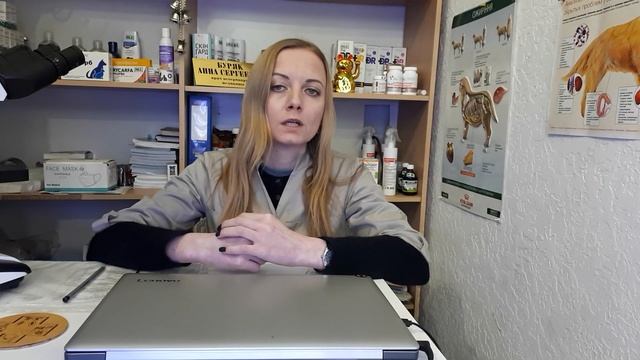 Клещевой боррелиоз болезнь лайма у кошек и собак симптомы диагностика лечение смотреть онлайн