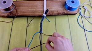 Как спасти провода от кота? Придумала необычный способ, который работает!