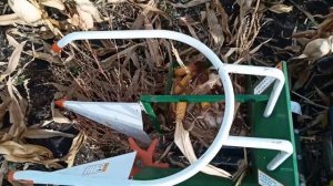 Уборка кукурузы мотоблоком сезон 2019 -Harvesting corn with a walk-behind tractor(tiller) ENG-SUB