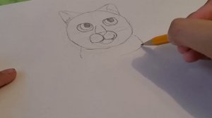 Коты Воители- Как нарисовать ОГНЕЗВЁЗДА