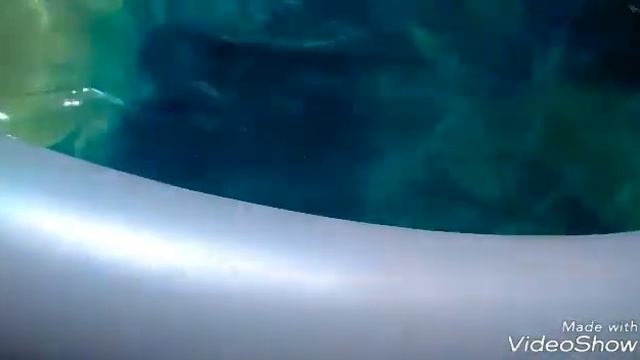 Очистили бассейн зелёнкой? смотреть онлайн