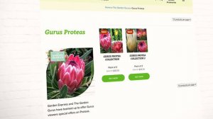 The Garden Gurus - Proteas