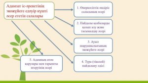 I тоқсан Биология, 7 сынып, 5 сабақ