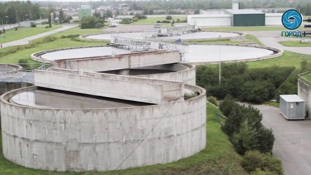 Как это – раки на контроле качества воды в Петербурге смотреть онлайн