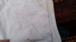 Когда и как нужно утеплять улья!