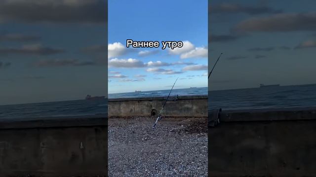 Рыбалка🎣 #рыбалка #море #вода #утром #морезимой #средиземноеморе #хобби #обзор #кайф #fyp #зима #ей