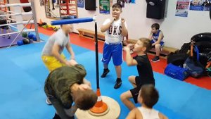 Тренажер боксерский Вертушка