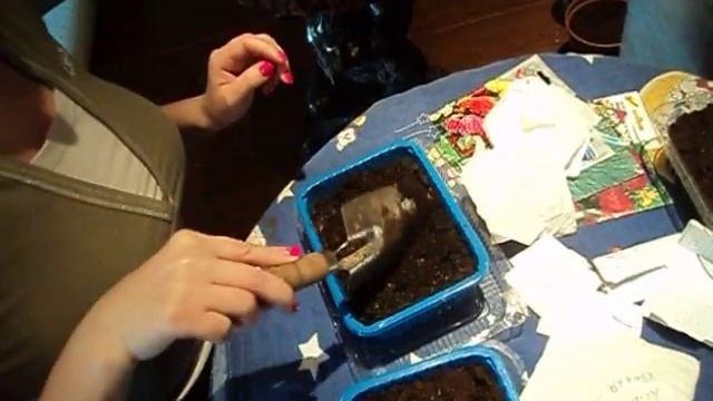 Астры, сожаем свои семена смотреть онлайн