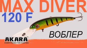 Обзор воблера Akara Max Diver 120F