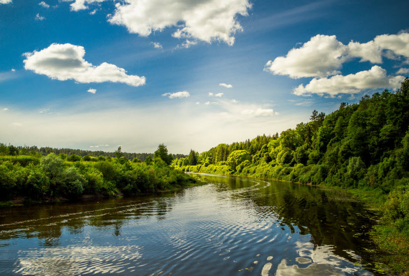 River калининград