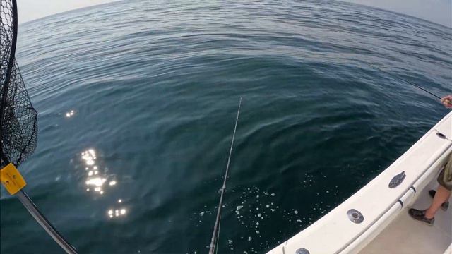 Less Equals More Sometimes in Fluke Fishing - Single Bucktail for the Win! смотреть онлайн