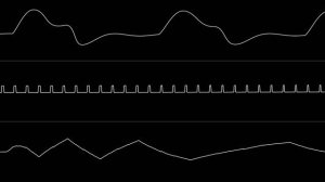 Jeff (Soren) - "La Samba del pasta bolognese" (C64) [Oscilloscope View]