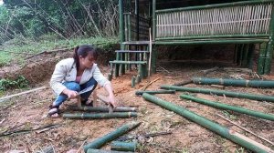 How To Build Bamboo House In Forest With Girl,  Making stairs out of bamboo - Ep.3