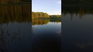Ротан Бычок сегодня ловил рыба