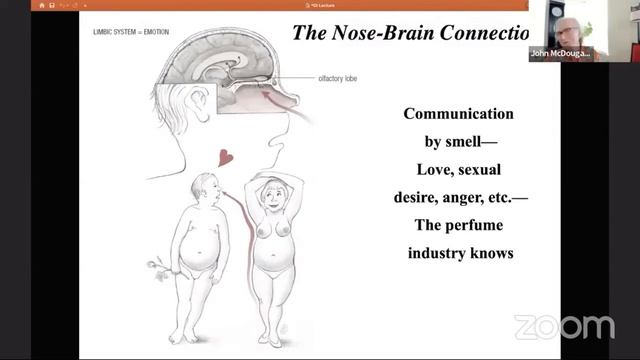 Верхний Пищевод, Зубы, Запах Изо Рта, Рвотный Рефлюкс, Язва Желудка, Желчные Камни Джон Макдугалл смотреть онлайн