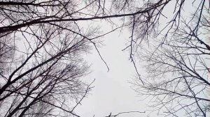 А в Африке горы вот такой вышины