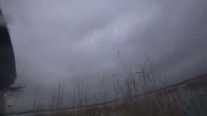 Охота на уток с Kicks 0,76 (Красноголовый нырок)