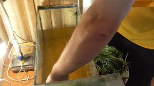 Подмена воды в аквариуме 30 литров, меняю воду