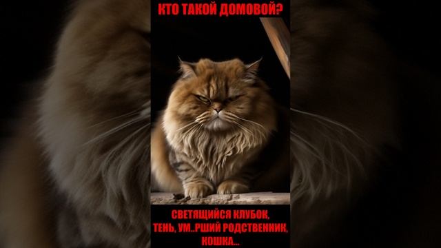 Кто такой домовой #домовой #деревня