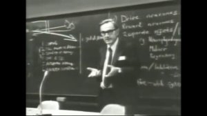 Центр удовольствия.  Эксперимент с крысой