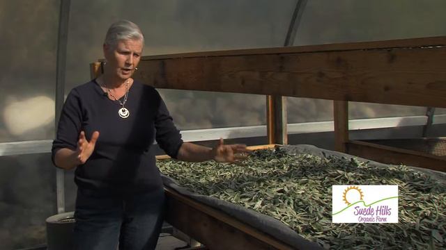 Suede Hills Organic Farm "Why our Superior Products?" смотреть онлайн